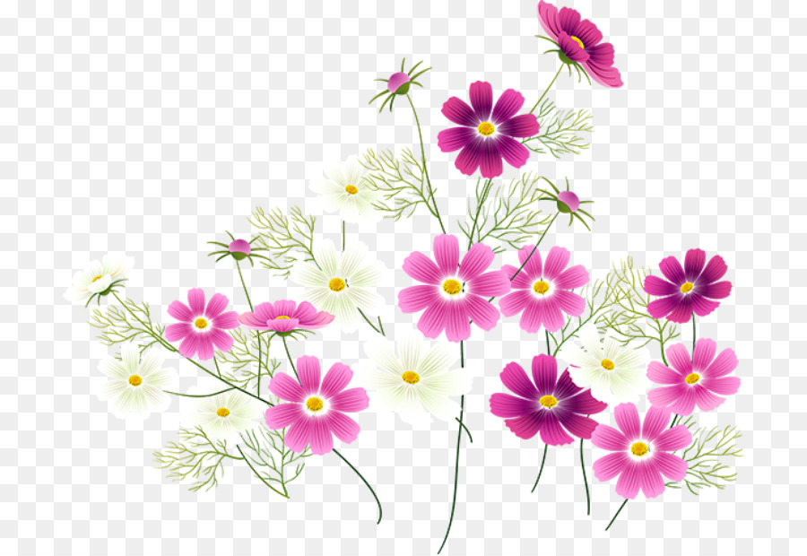 Blume, Computer Software - Pastell Blumen