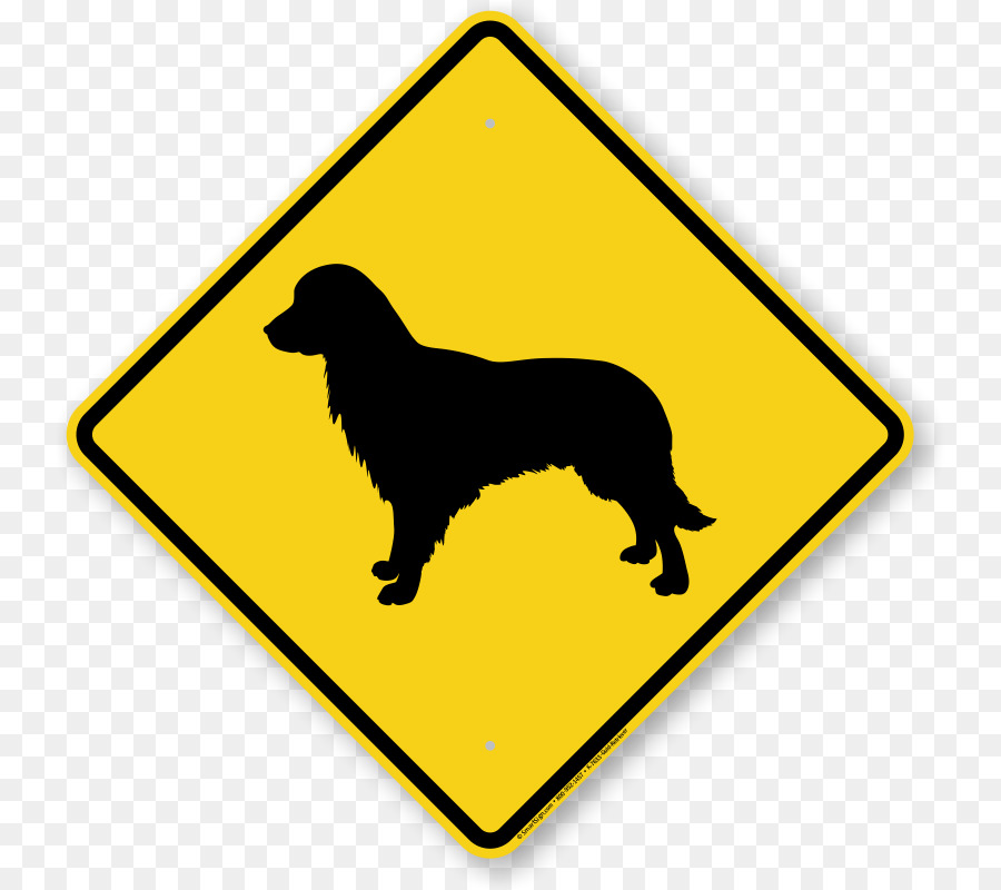 Giao thông đừng Lái xe Đường Xe khu vực Trường học - Chó Săn Vàng