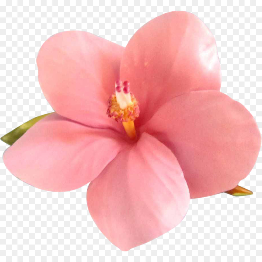 Hibiscus-Malven Lotion Shea butter Bemalt Porzellan - Tropische Blume