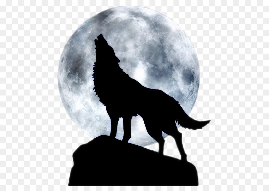 Hund Full moon T-shirt Black wolf - Blue Wolf