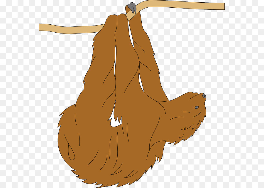 Sloth Public domain Clip art - Pelz