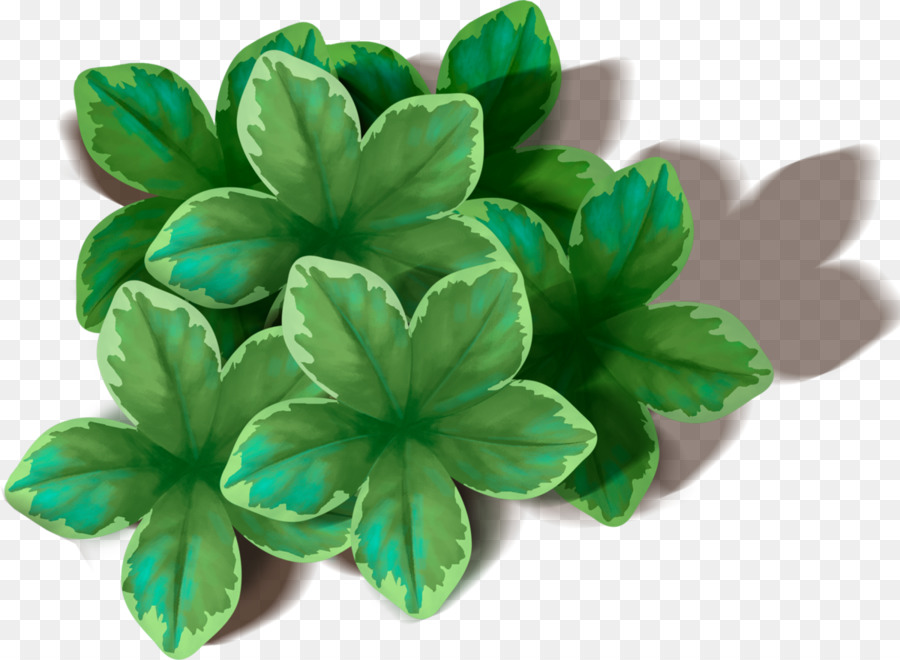 Blatt Display Auflösung - grüne Blätter
