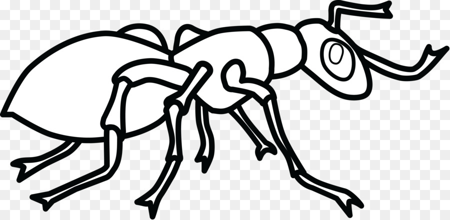 Ant colony Malbuch he, Kleine Ameise Kind - Ameisen