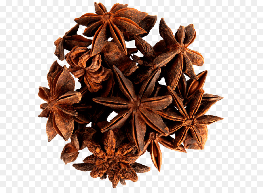 Spice anice stellato Cinnamomum verum Erba - spezia
