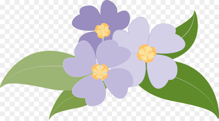 Blumen lila - veilchen