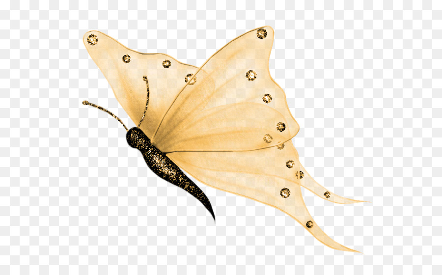 Effetto farfalla dipinto ad Acquerello, Clip art - photoscape effetti