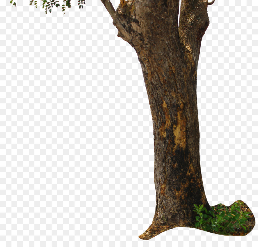 kisspng-tree-stump-trunk-picsart-photo-studio-tree-trunk-5ac321e68d87e2.0420632615227376385797.jpg