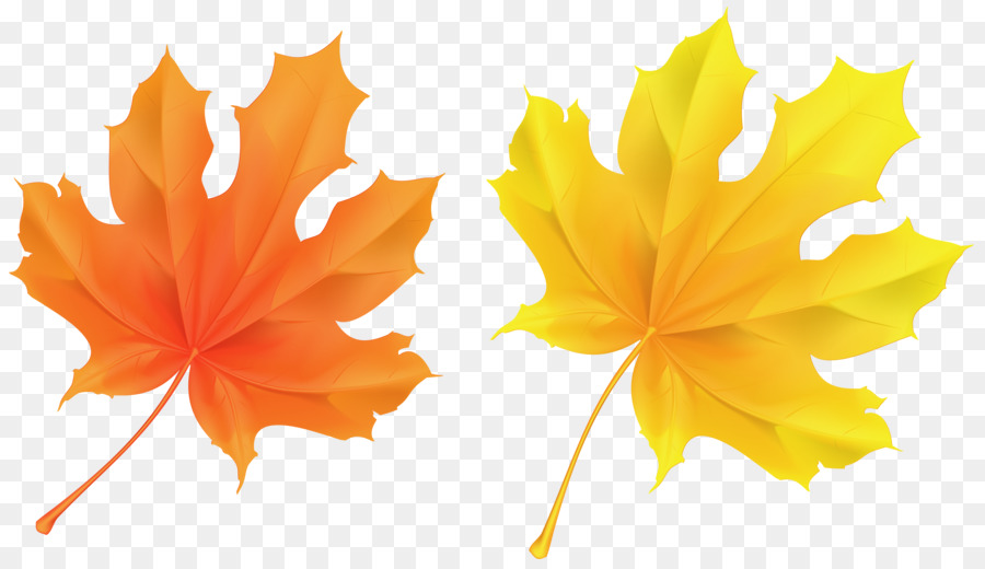 Foglia d'autunno di colore Arancione Clip art - autunno
