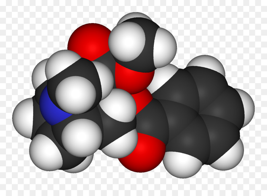 La cocaina Erythroxylum coca Molecola di Droga Stimolante - cocaina
