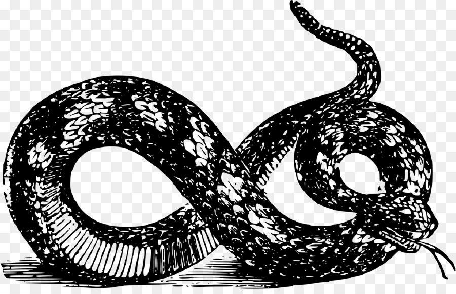 Snake T-shirt Libertarismo bandiera di Gadsden - serpente