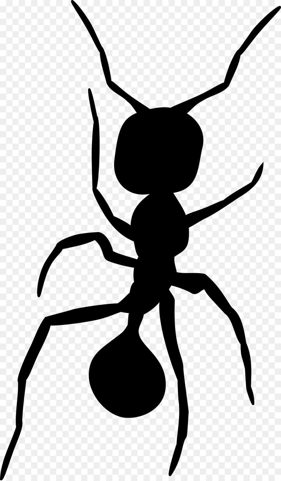 Ameise, Insekt Silhouette Clip art - Ameisen
