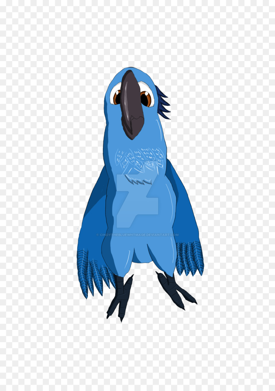 Gioiello Blu Nigel Macaw Parrot - Rio