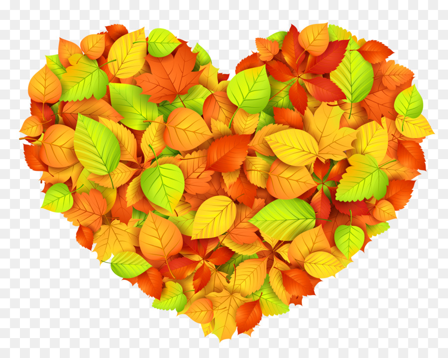Herbst Blatt Farbe Herz Clip art - fallen