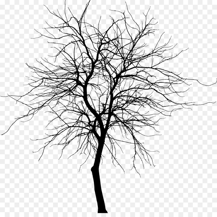 Baum-Silhouette-Zweig-Zeichnung Clip art - dünne