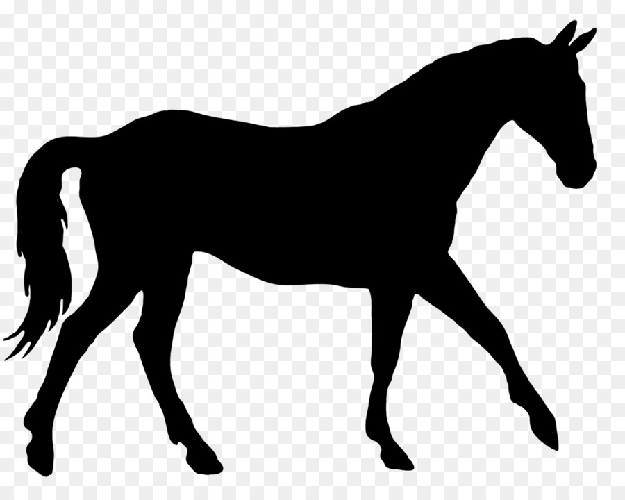 ClipArt Silhouette Quarterland Horse Horse & Hound Dressage americano - ferro di cavallo