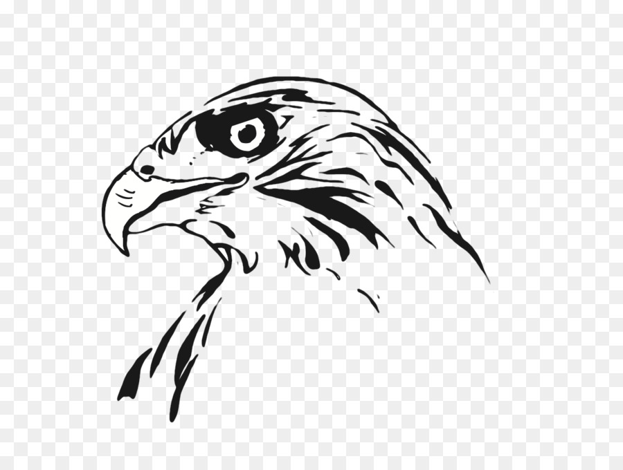 Zeichnung Vogel-Linie Kunst-Hawk - Falke
