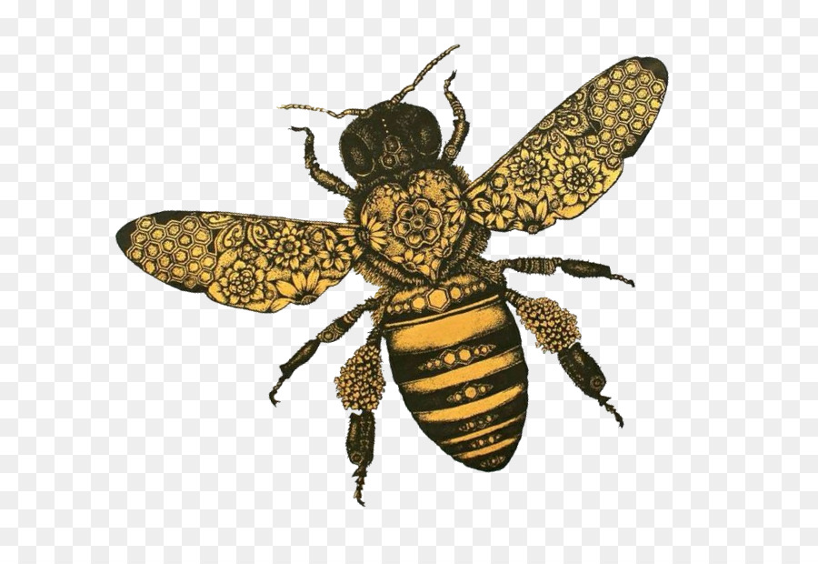 Ong mật phương tây T-shirt Côn trùng vô Vọng đài Phun nước Anh Tour du lịch thế Giới - mật ong