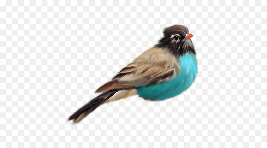 Uccello di immagine Digitale Clip art - ara