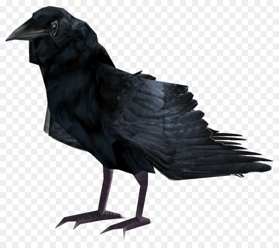 Fallout 4 American crow, Common raven Vogel-Fisch-crow - Raven