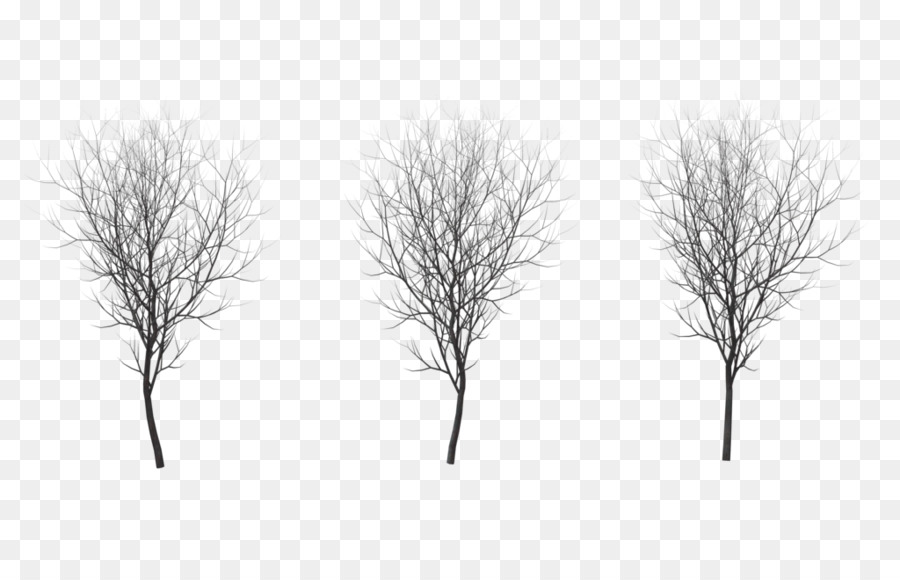 Ast, Winter, Zeichnung Root - Schnee Baum