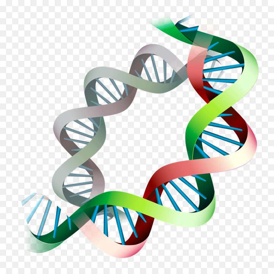 Epigenetik Gene expression Epigenom-DNA - Langlebigkeit