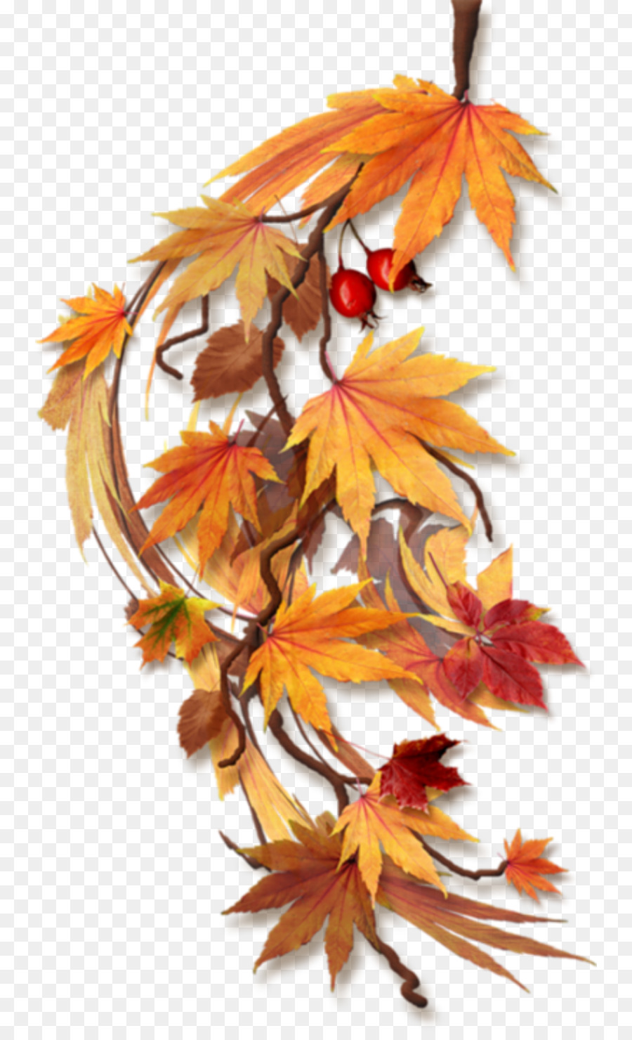 Herbst Clip art - fallen
