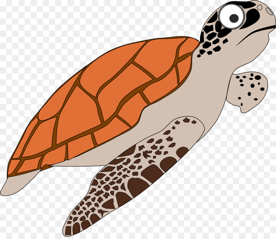 Meeresschildkröte Cartoon Clip Art - tortoide
