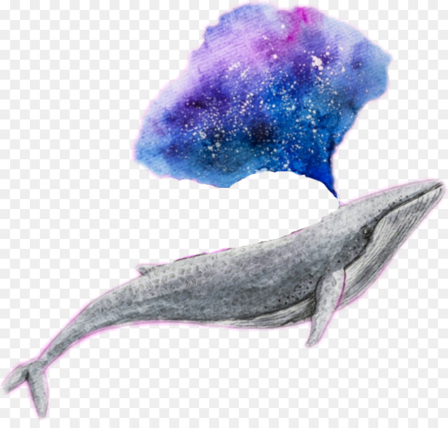 Cá Heo động vật Biển có vú Galaxy Ngoài - nước động vật