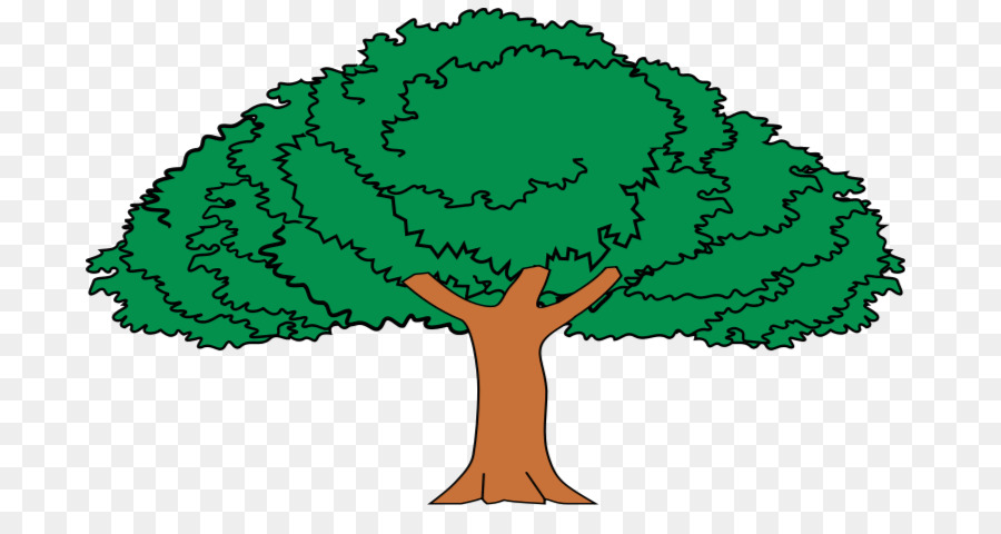 Baum Enterolobium Tropischen und subtropischen trockenen Laubwäldern Zeichnung - Geld Baum