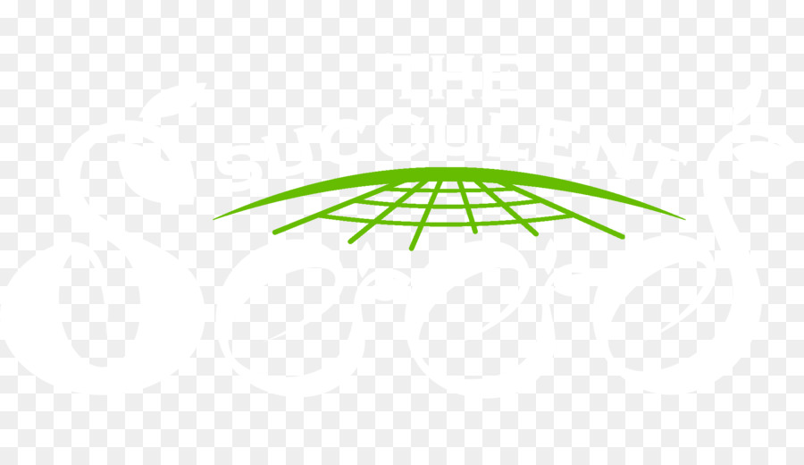 Cerchio Logo Angolo Di Carattere - eucalipto