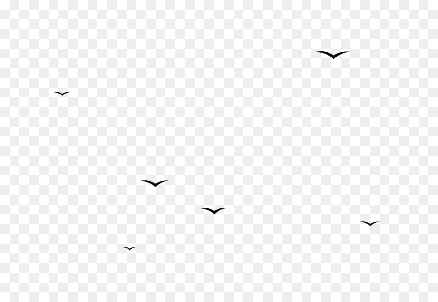 Vogel Schwarz und weiß Monochrom-Fotografie Tier-migration - Herde