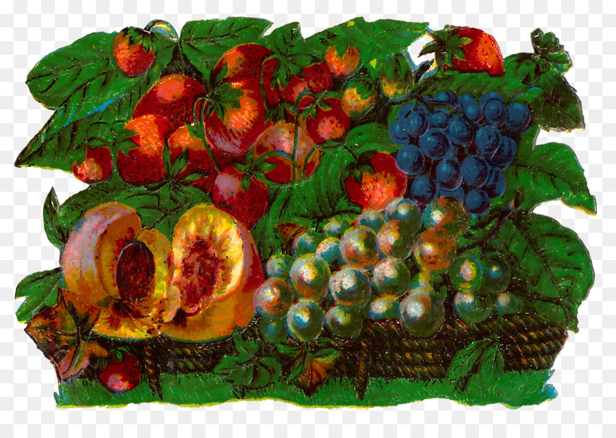 Frutto di arte Digitale pittura ad Acquerello Cibo Cesti Regalo Clip art - Cesto Di Frutta