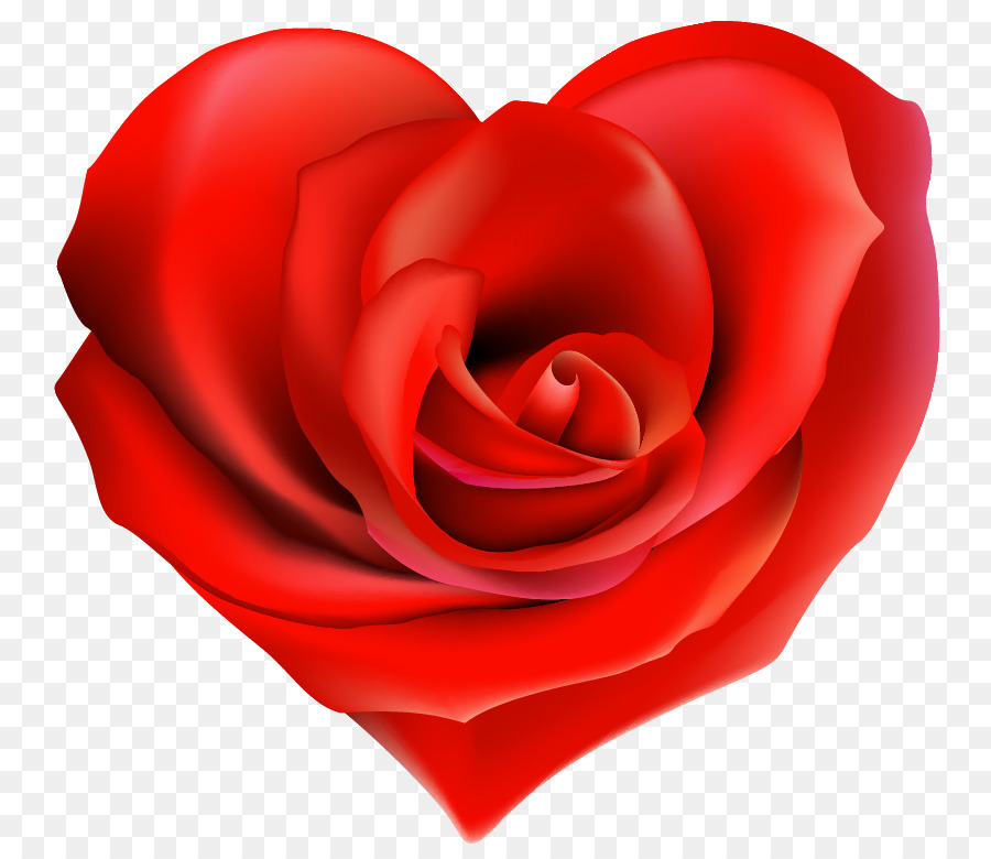 Garten, Rosen, Herzen, Valentinstag clipart - Dekorative rote rose