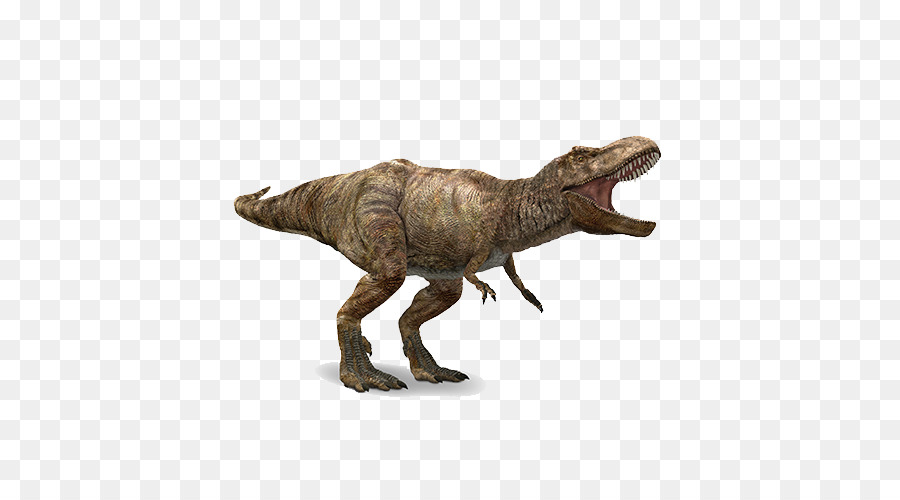 Tyrannosaurus Apatosaurus Spinosaurus Stegosaurus Velociraptor - Tyrannosaurus