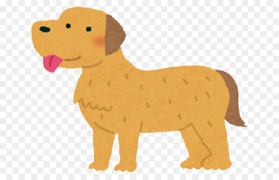 Chó Săn Vàng Labrador Tiểu Terrier Trỏ Siberia Husky - Chó Săn Vàng