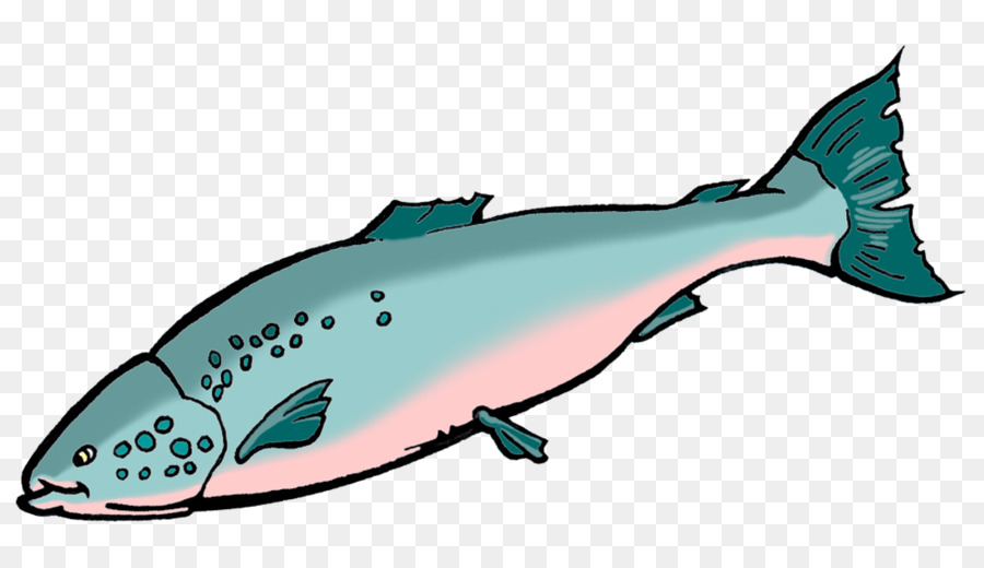 Cá heo động Vật sinh vật học Biển động vật Biển có vú Clip nghệ thuật - Cá hồi