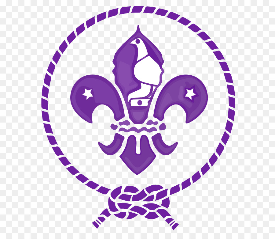 Scouting Organizzazione Mondiale del Movimento Scout Scout del Gruppo Scout Mondiale Emblema Scout Sud Africa - esploratore