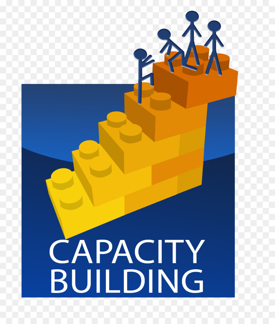 Capacity building Management Small business-Organisation - Builder