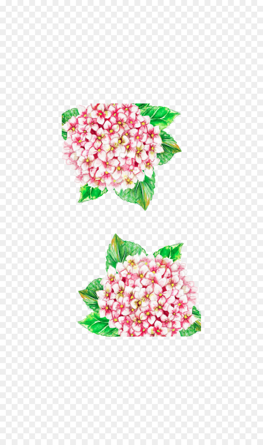 Schnitt-Blumen Floral-design-Hortensie Blütenblatt - Hortensie