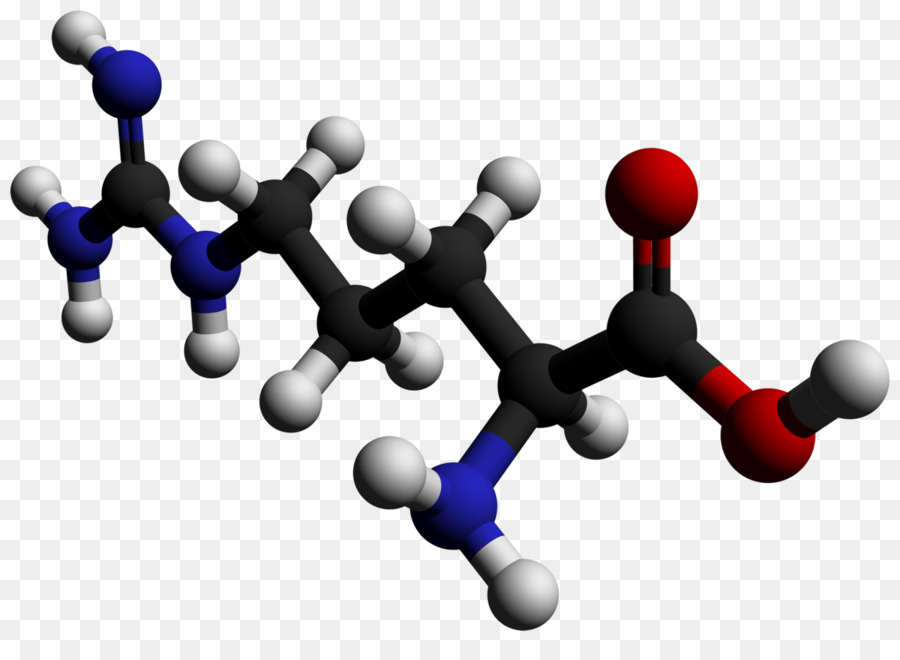 Asymmetric dimethylarginine Essentielle Aminosäure - Pin