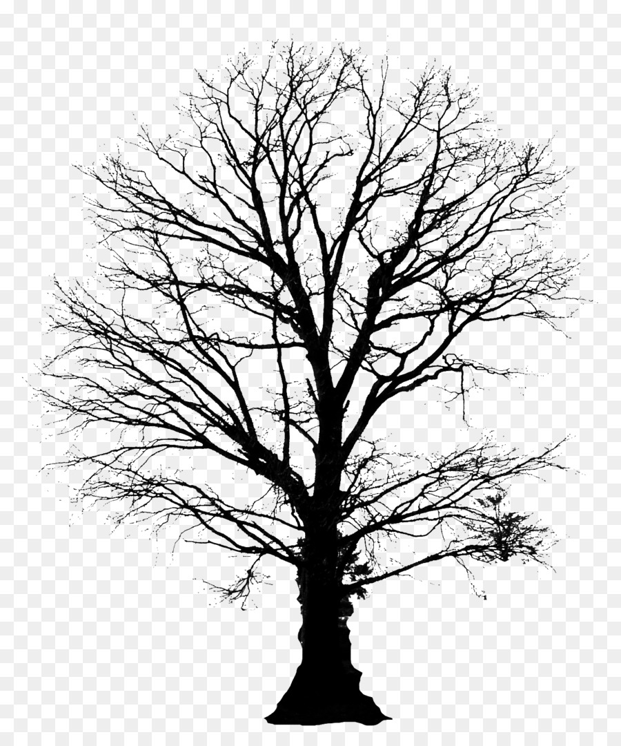 Tree Clip Art - Schnee Baum