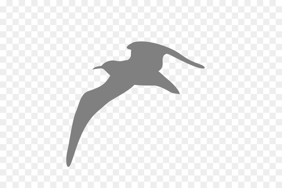Uccelli Gabbiani Icone Del Computer Gabbiani Tridattili - gabbiano