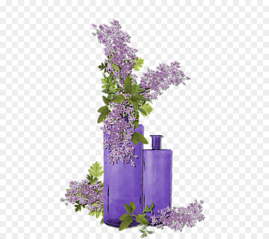 Lila Blume Violett Lavendel - lila Blume