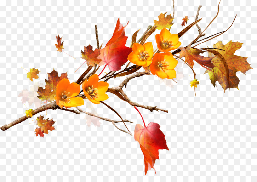 Foglia d'Autunno Fiore Ramo Floreale - autunno