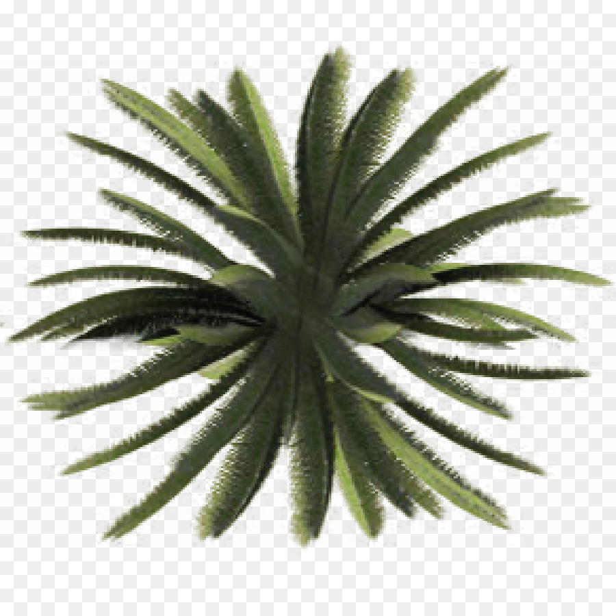Cây Thực vật, cây Bụi kế hoạch trang Web - xem
