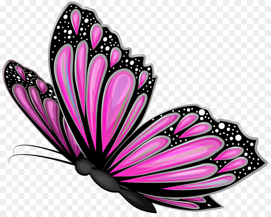 Farfalla, Fotografia Clip art - farfalla