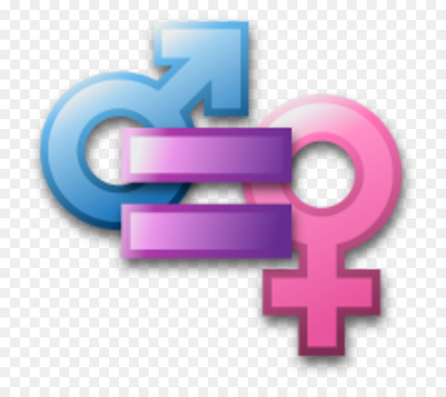 Gleichstellung der Geschlechter die Ungleichheit der Geschlechter (