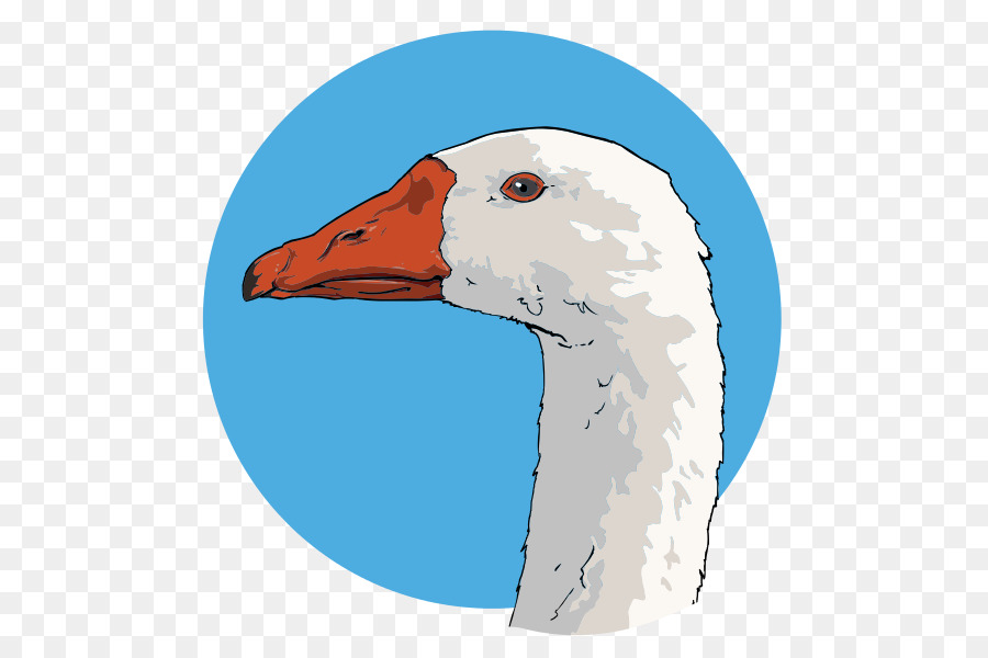 Duck Cartoon