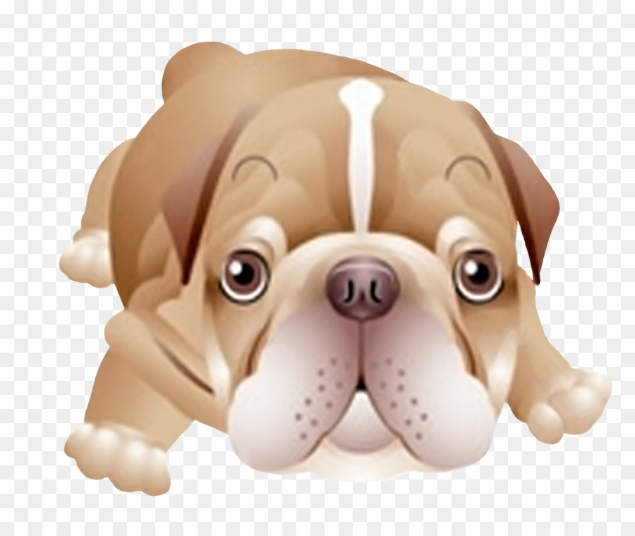 Toy Bulldog Cucciolo di Cane di razza cane da compagnia - luccica