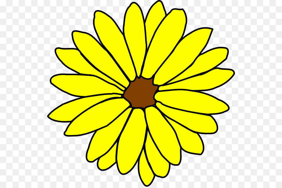 Blume Zeichnung Clip art - Sonnenblume